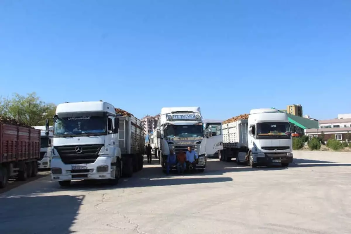 Malatya Şeker Fabrikası Pancar Alımına Başladı