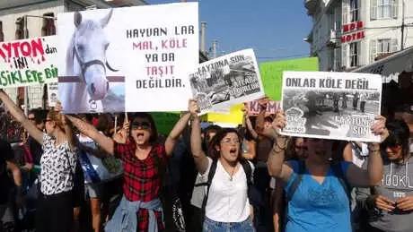 Büyükada'da Fayton Protestosu