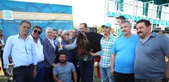 Bursa'da Rahvan At Yarışları Heyecanı
