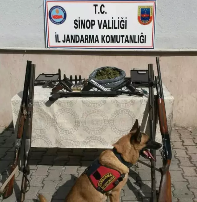 Sinop'ta Uyuşturucu ve Silah Kaçakçılığı Operasyonu
