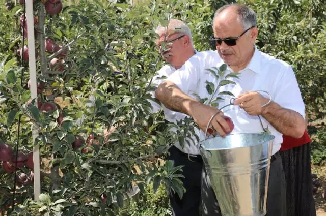 Başkan Öztürk: 'Yahyalı'da Elma Üretimi Modernleşmeli'