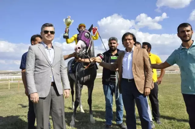 Safkan Atlar Mahmudiye'de Piste Çıktı