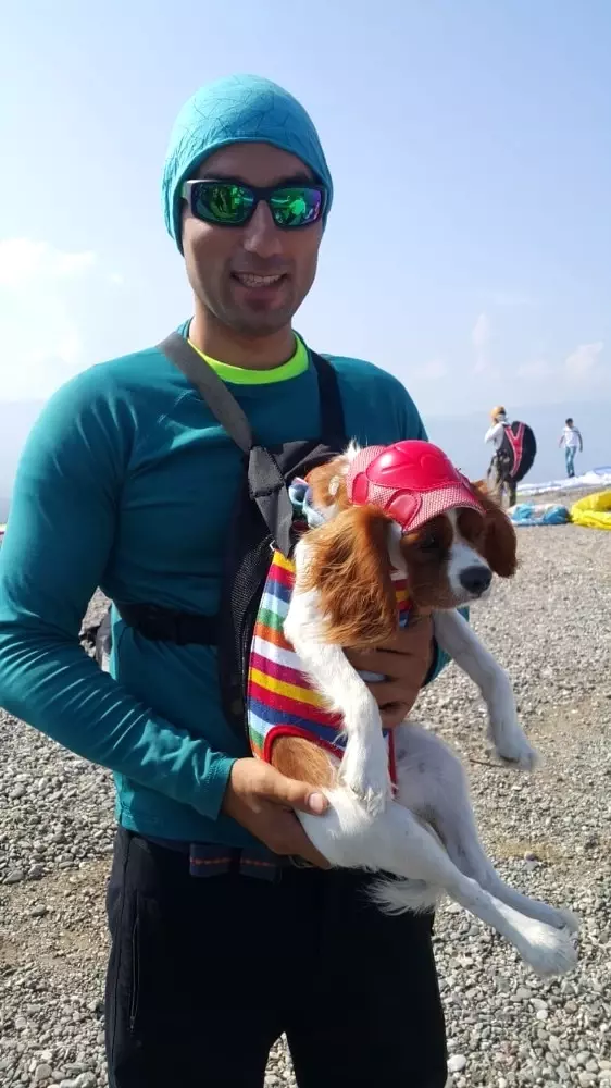 uçan köpek