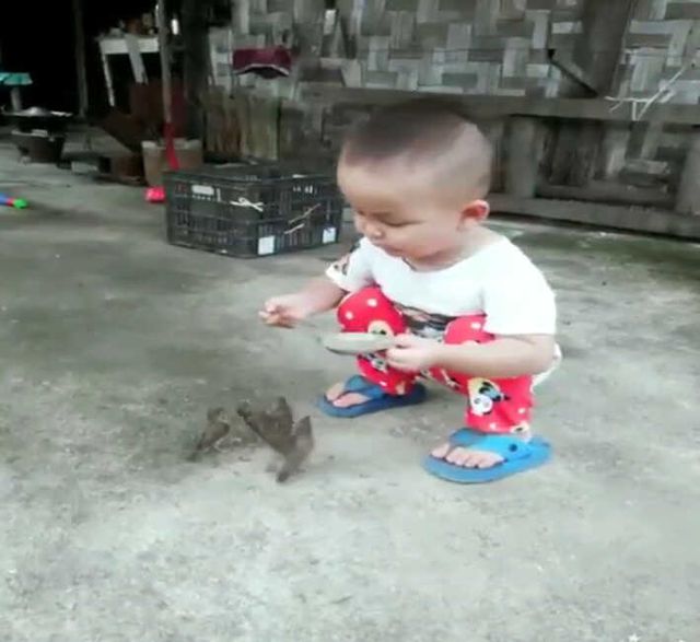 Sevimli Çocuk Minik Elleriyle Kuşları Besledi, O Anlar