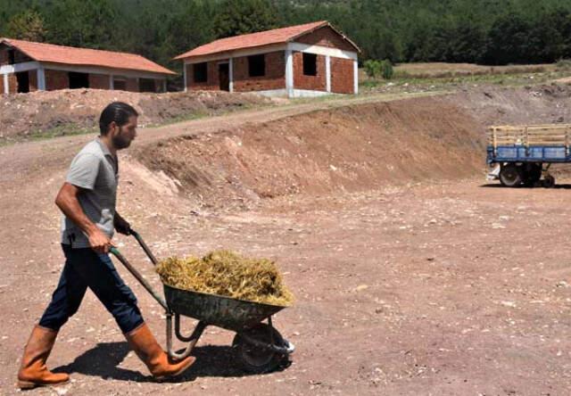 AVM Yöneticisi, Köyüne Dönüp Hayvan Yetiştiriciliği Yapmaya Başladı