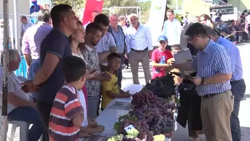 Bursa'nın En İyi Üzümleri Belli Oldu Bursa'nın En İyi Üzümleri Belli Oldu