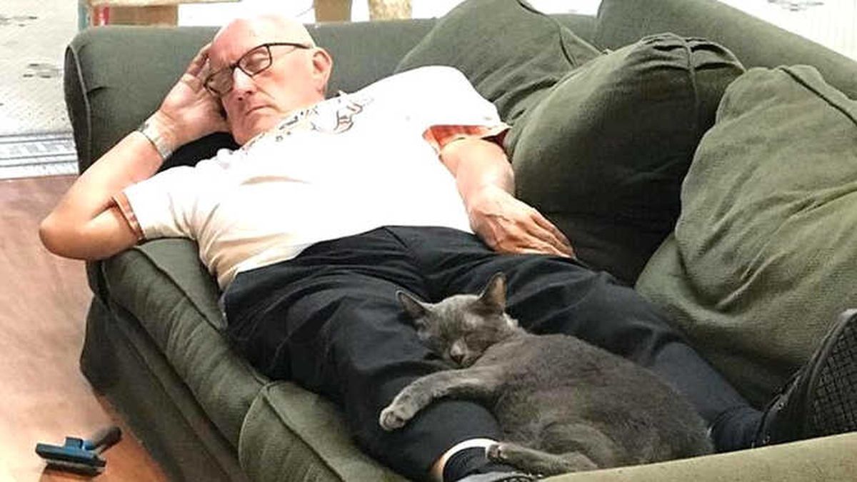 Kedi Dede': Fotoğrafları Sayesinde Çalıştığı Hayvan Barınağına Binlerce Dolar Kazandıran Gönüllü