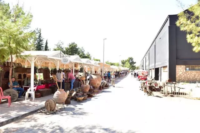 Antika Tutkunları Dokumapark'ta