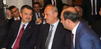 Otorova - Bu nedir Kelimenin ve eşanlamların anlamı 93