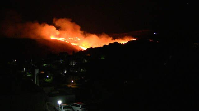 Bodrum'da Makilik Alanda Çıkan Yangında 30 Hektar Alan Kül Oldu