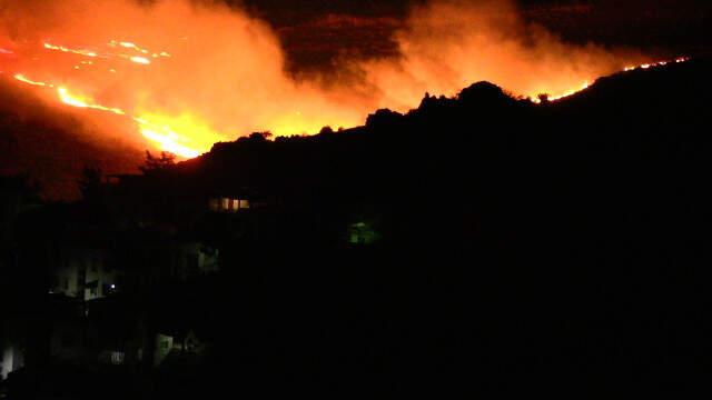 Bodrum'da Makilik Alanda Çıkan Yangında 30 Hektar Alan Kül Oldu