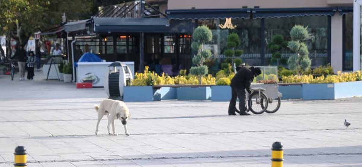 Çanakkale'de Deniz Ulaşımına Kestane Karası Fırtınası Engeli