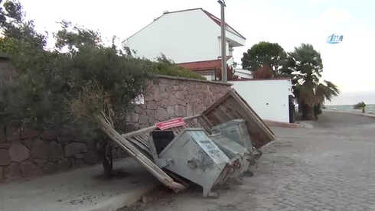 Kestane Karası' Rüzgarı Yıkıp,döktü