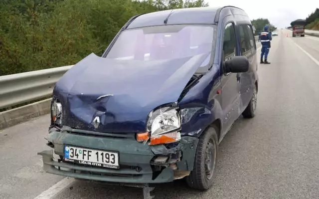 Yola Çıkan Bozayıya Kamyonet Çarptı, Ayı Telef Oldu