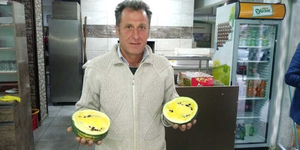 Sarı Karpuz Görenleri Şaşırtıyor