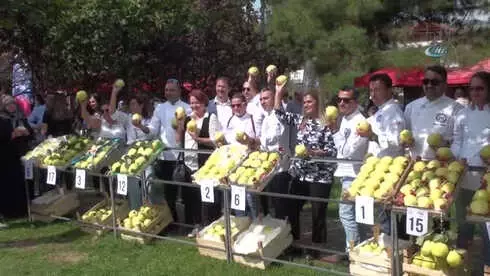 Eşme Ayvası Festivali Başladı