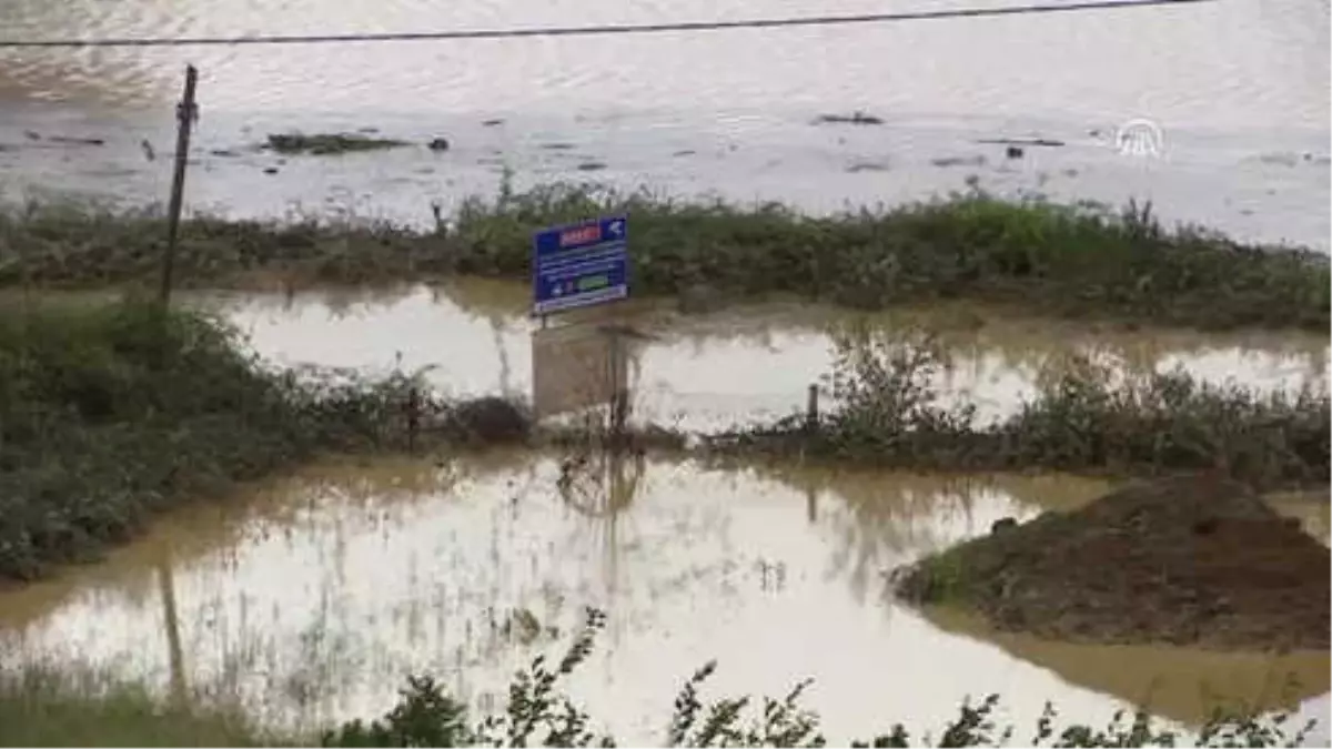 Beykoz'da Selden Kurtarılan Leo Yaşam Mücadelesi Veriyor