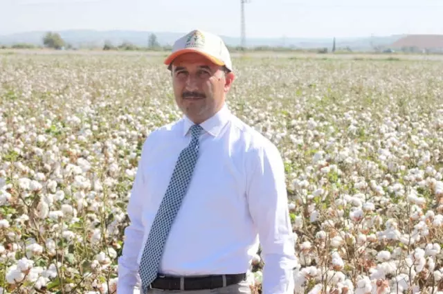 Hatay'da 260 Bin Ton Pamuk Rekoltesi Bekleniyor
