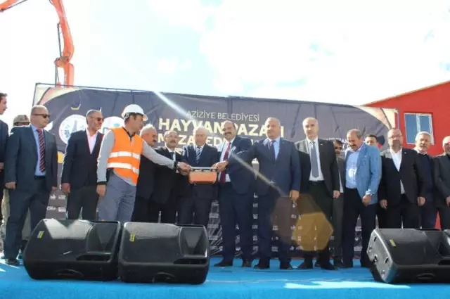 Hayvanlığın Nabzı Aziziye'de Atacak Hayvanlığın Nabzı Aziziye'de Atacak