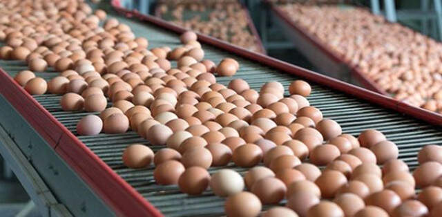 Yumurta Üreticileri Toptancıları Başkanı Yıldırım: 1 Aylık Stok Kaldı, Fiyatlara Ciddi Zam Gelecek