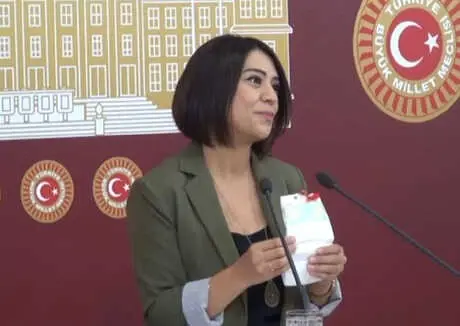 CHP'li Taşcıer: Artık Gram Altın Yerine Bebek Bezi Takabilirler CHP'li Taşcıer: Artık Gram Altın Yerine Bebek Bezi Takabilirler
