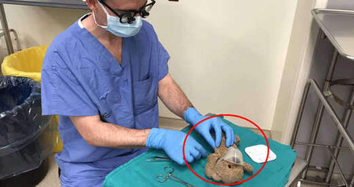 Doktor, 8 Yaşındaki Hastasının Özel İsteği Üzerine Oyuncak Ayıyı Ameliyat Etti