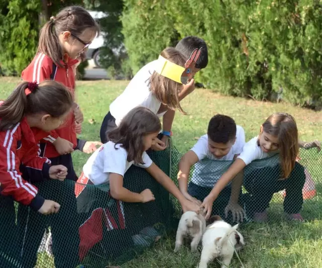Can Dostları Öğrencilerle Buluştu Can Dostları Öğrencilerle Buluştu