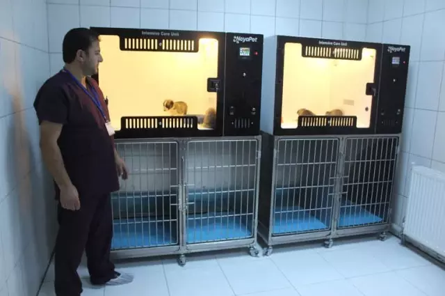 Göl Manzaralı Hayvan Bakım Tesisi Hizmete Açıldı Göl Manzaralı Hayvan Bakım Tesisi Hizmete Açıldı