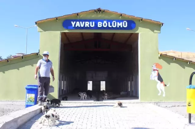Göl Manzaralı Hayvan Bakım Tesisi Hizmete Açıldı Göl Manzaralı Hayvan Bakım Tesisi Hizmete Açıldı