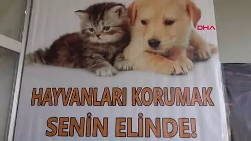 Van'da Yapılan Modern 'Hayvan Bakım Evi' Hizmete Açıldı