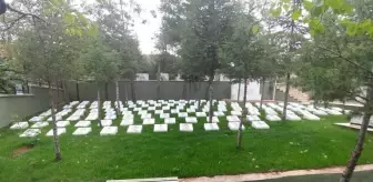 Sariyahsi Haber Sariyahsi Son Dakika Haberleri Haberler