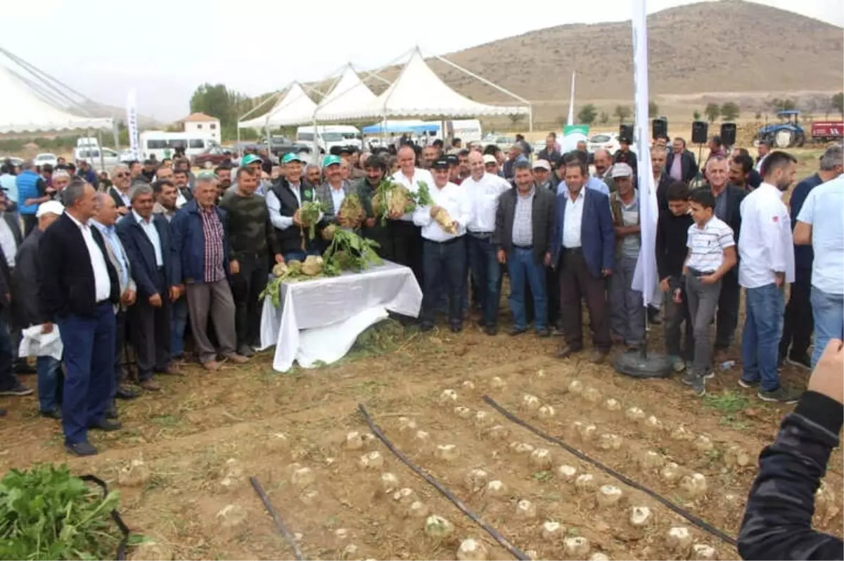Damla Sulama ile Şeker Pancarında Verim Artışı Sağlanıyor