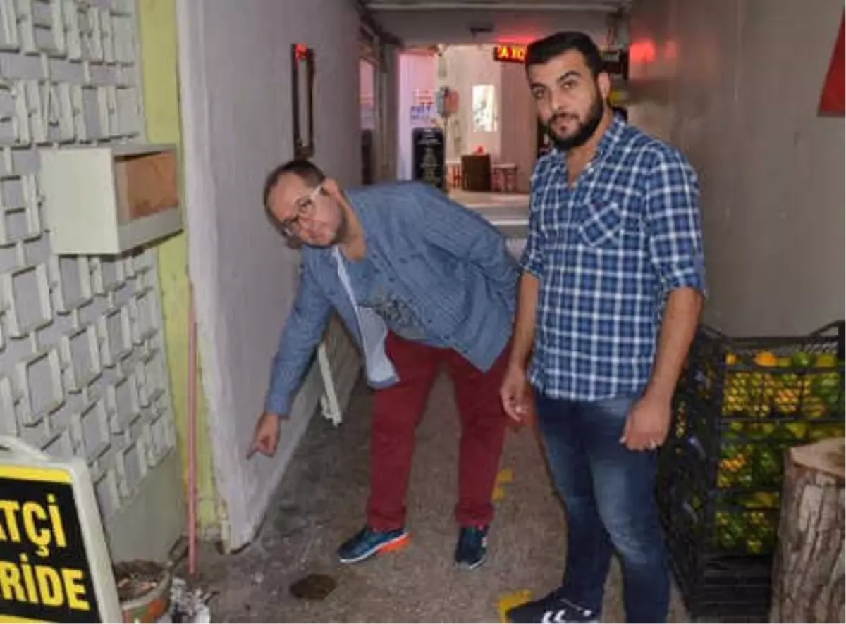 Esnafın Selde Bulup Kurtarmaya Çalıştığı Kedi Öldü