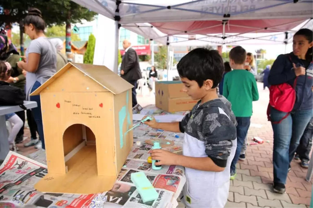 Kucukcekmeceli Miniklerden Kedi Evi Haber