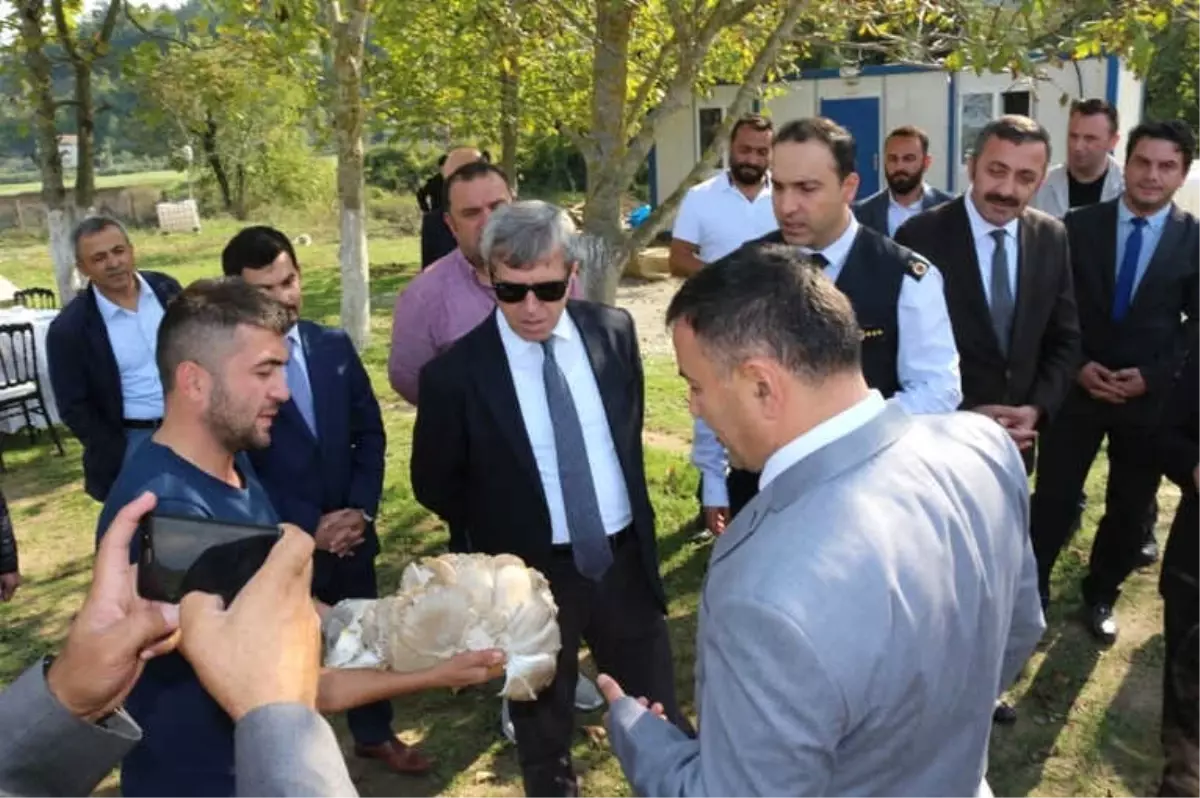 Vali Çınar, Çaycuma'da Tarım ve Hayvancılık Tesislerini İnceledi