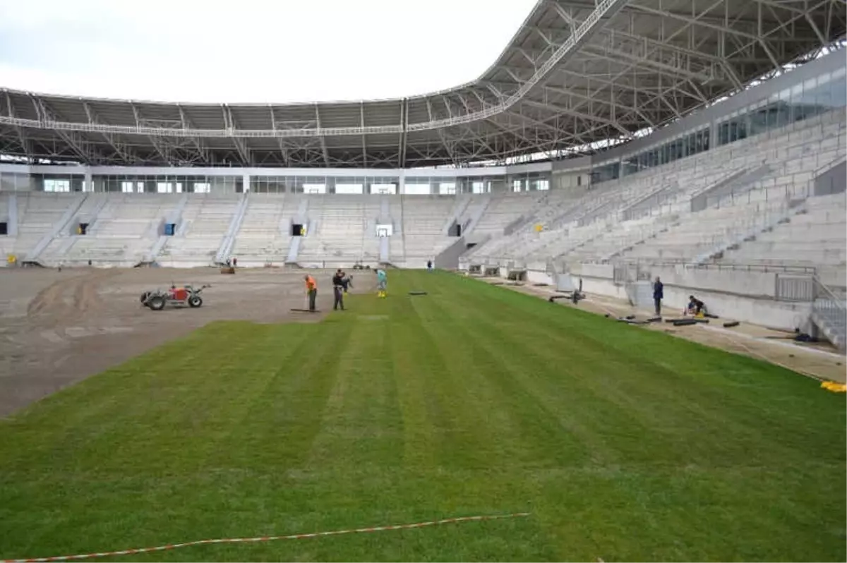 Yeni Ordu Stadı'nın Çimleri Seriliyor
