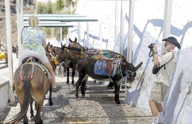 Yunanistan 100 Kilodan Ağır Turistlerin Eşeğe Binmesi Yasakladı