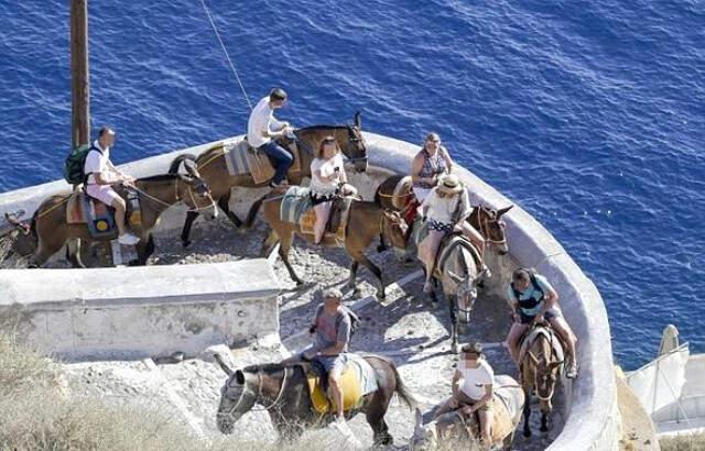 Yunanistan 100 Kilodan Ağır Turistlerin Eşeğe Binmesi Yasakladı