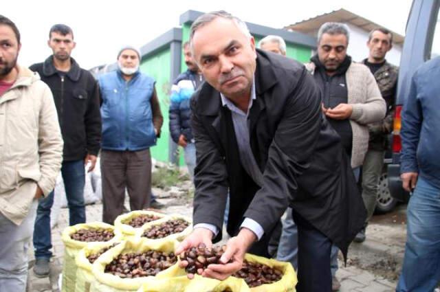 Düzce Kuzu Diye Biliniyor Türkiye'ye Yayılıyor