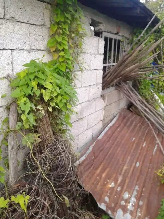 Odunluk'da Asılı Olarak Bulundu