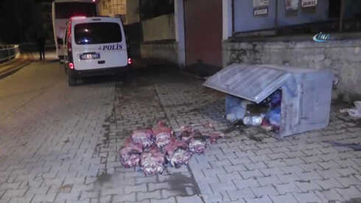 At Kesildiği Şüphesi Tedirgin Etti