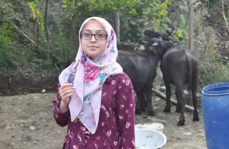 Genç Çiftçiye Hibe Mandaları Teslim Edildi