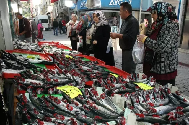 İnebolu'da Palamut 2 Liraya Düştü