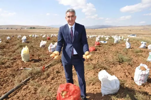 Köse'de Patates Hasadı Tarla Günü Yapıldı Köse'de Patates Hasadı Tarla Günü Yapıldı