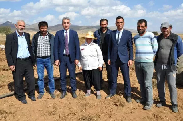 Köse'de Patates Hasadı Tarla Günü Yapıldı Köse'de Patates Hasadı Tarla Günü Yapıldı
