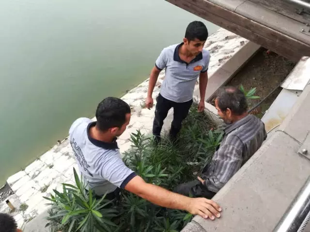Oltasını Almak İçin Asi Nehri'ne İndi