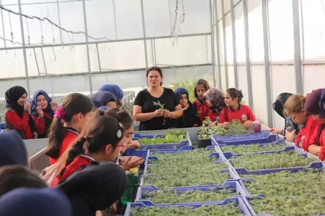 Yeşeren Çocuklar' Projesi 45 Çocukla Start Aldı