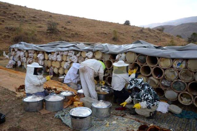 Bitlis'in Hizan İlçesinde Üretilen Karakovan Balı İlçe Ekonomisine Yaklaşık Bir Milyon Lira Katkı Sağlıyor