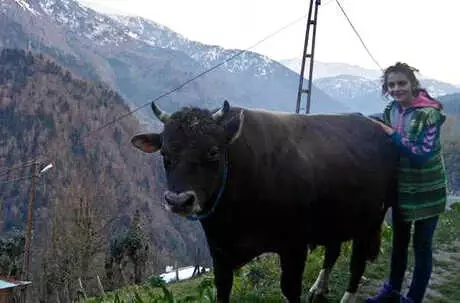 Hayvansever Bahar, 4'üncü Üniversite Olarak Veterinerlik Okuyor Hayvansever Bahar, 4'üncü Üniversite Olarak Veterinerlik Okuyor