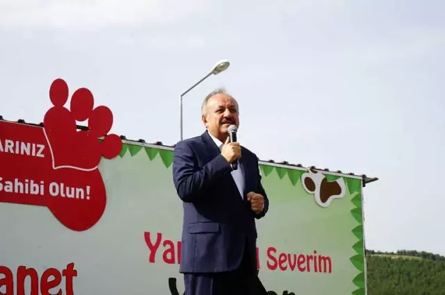 Şarkıcı Elnur Huseynov, Kastamonu'da Sokak Hayvanları Yararına Şarkı Söyledi